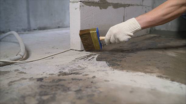 SJ Waterproofing Pros Waterproofing coverage map for Elkton, KY and surrounding area